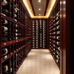 Elegant wine cellar with temperature control